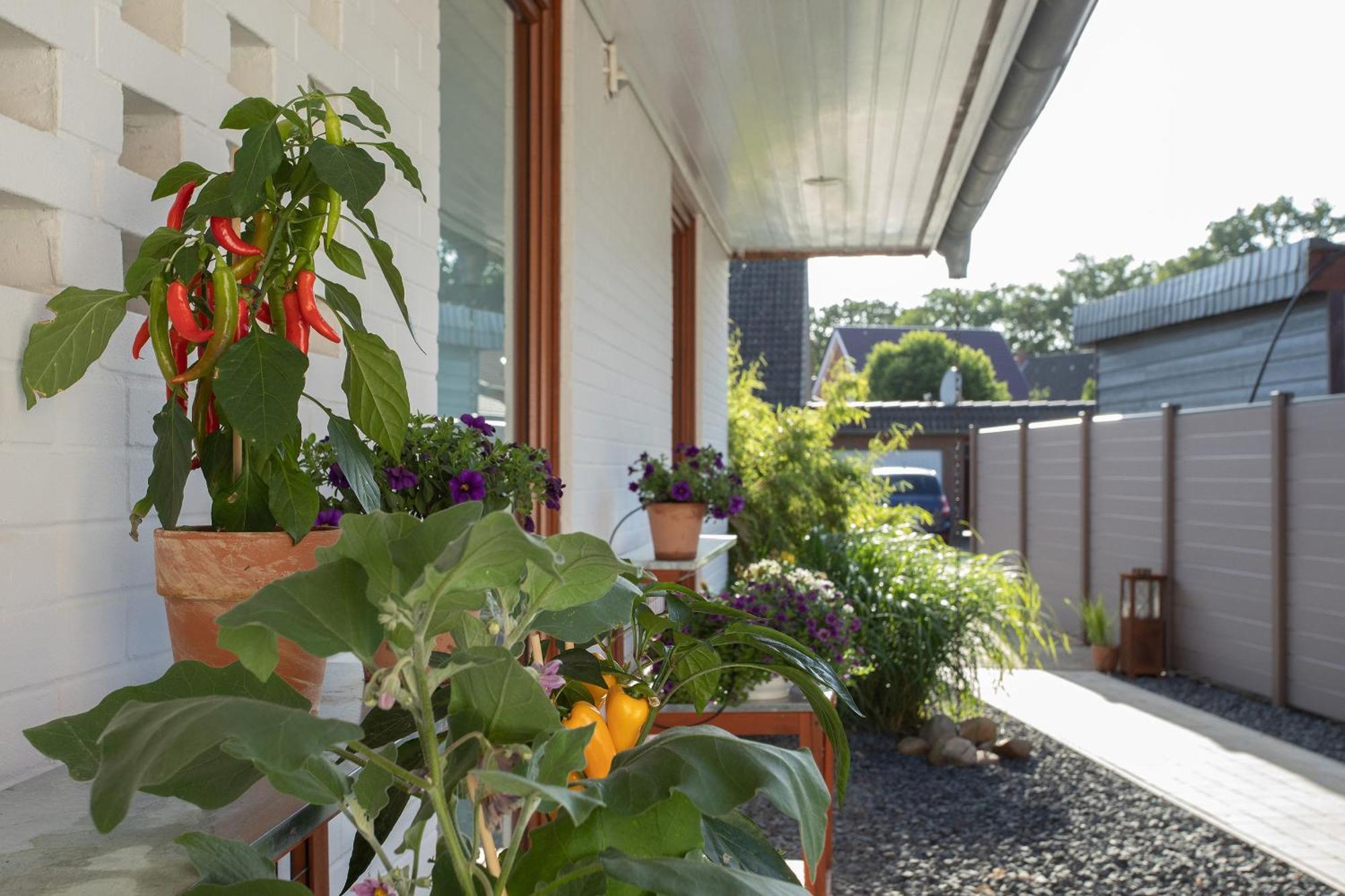 Ferienwohnung Aurora Winsen  Bagian luar foto